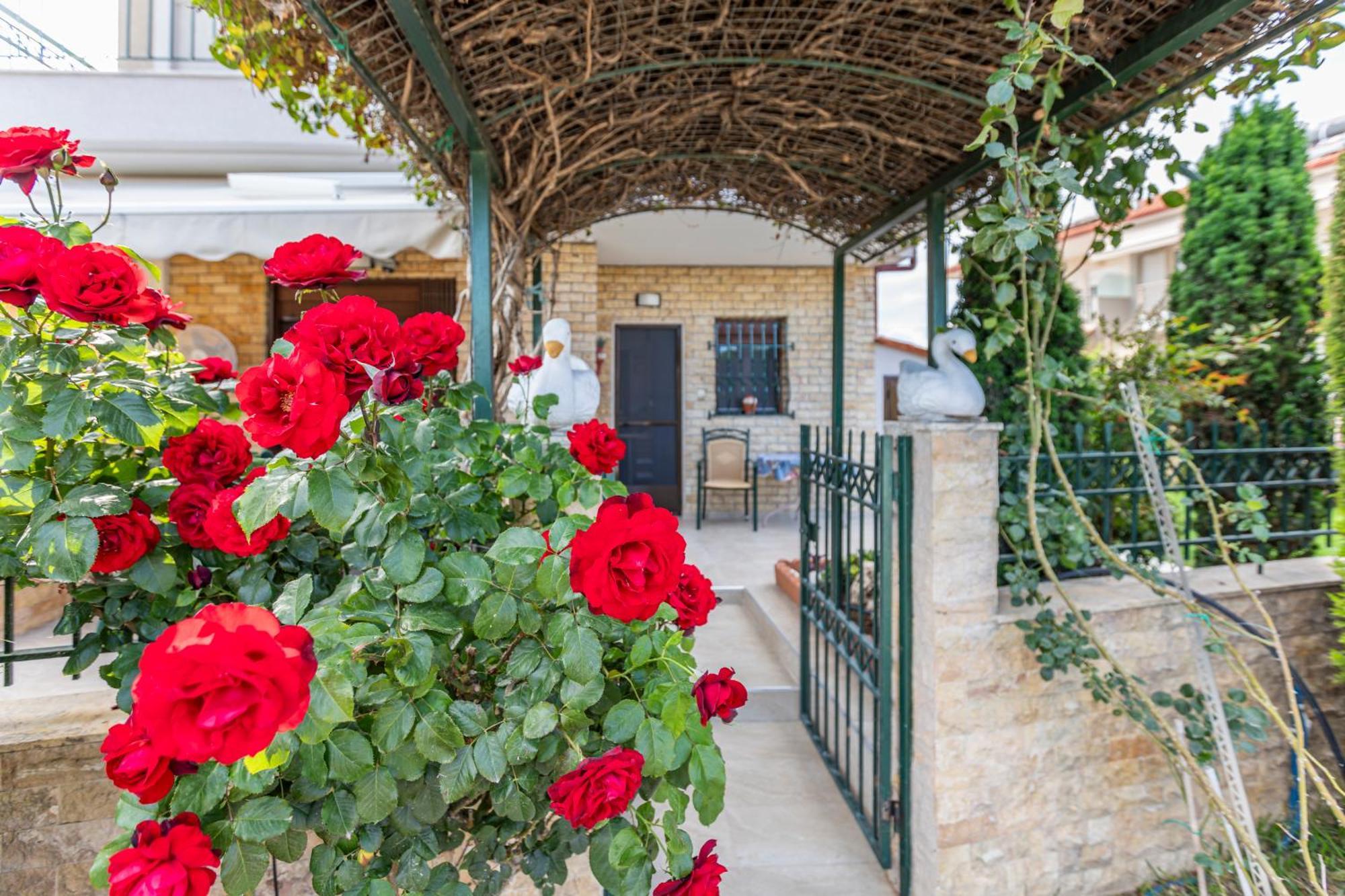 Sofia'S Villa Nikiti  Exterior foto